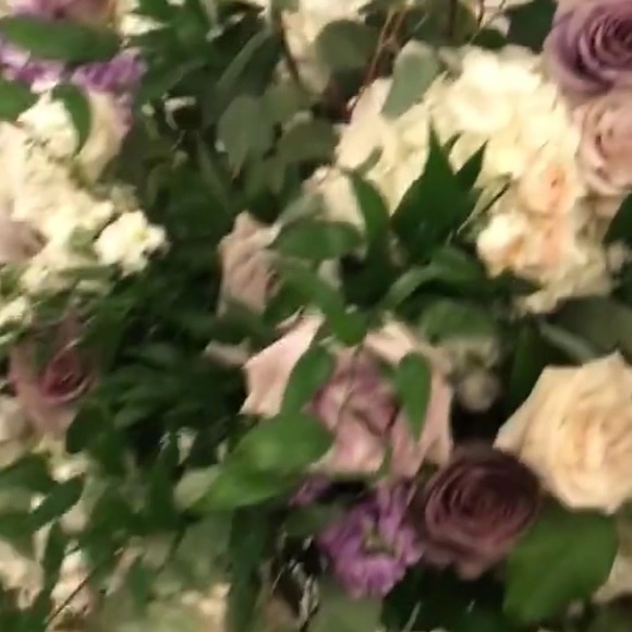 Meet your Posher, Laylah - Picture 1 of 1